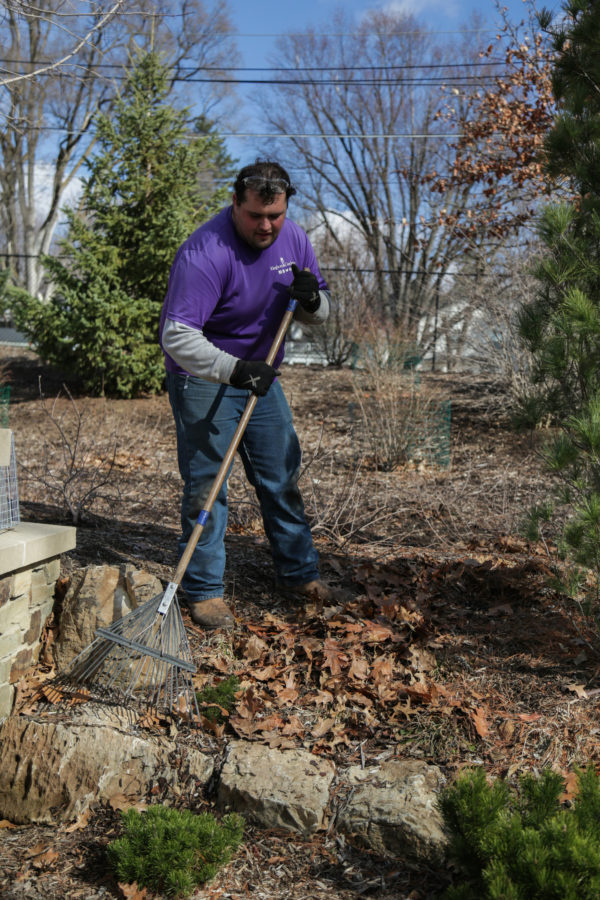 raking