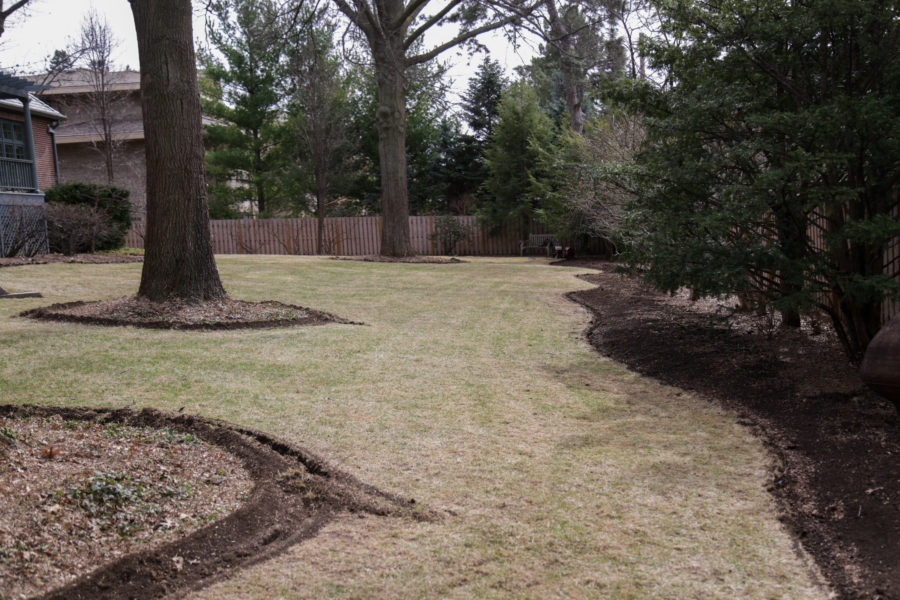 Garden clean-up