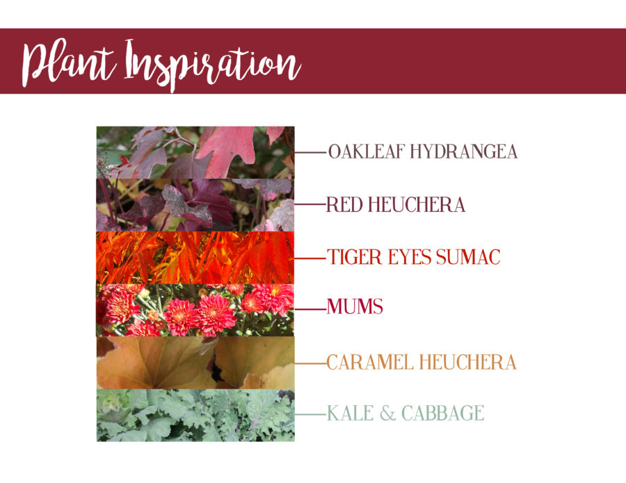Fall plants, inspiration, oakleaf hydrangea, red heuchera, tiger eyes sumac, mums, caramel heuchera, kale, cabbage