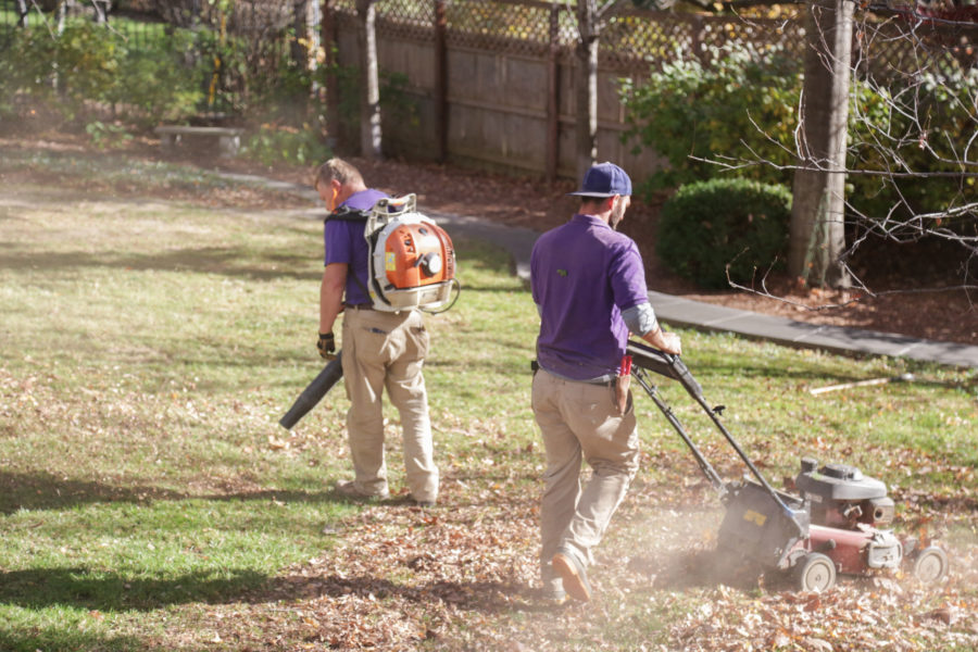 Leaf Mulch