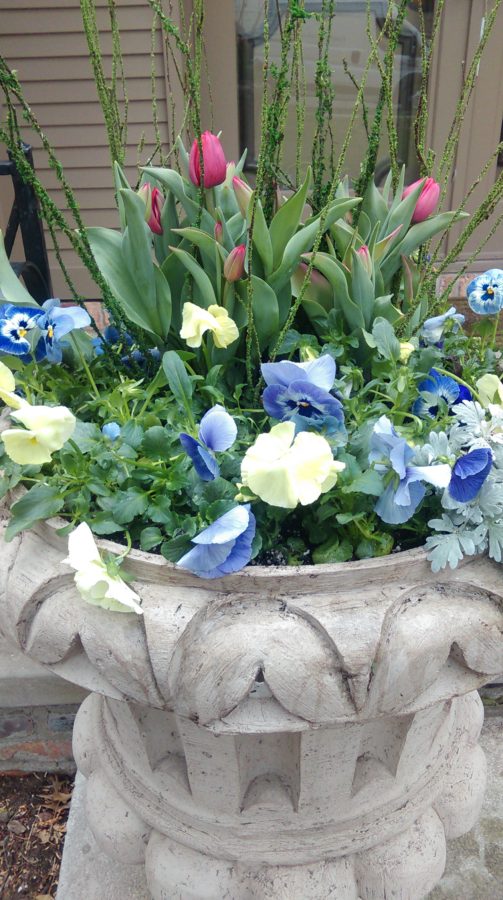 Spring Container