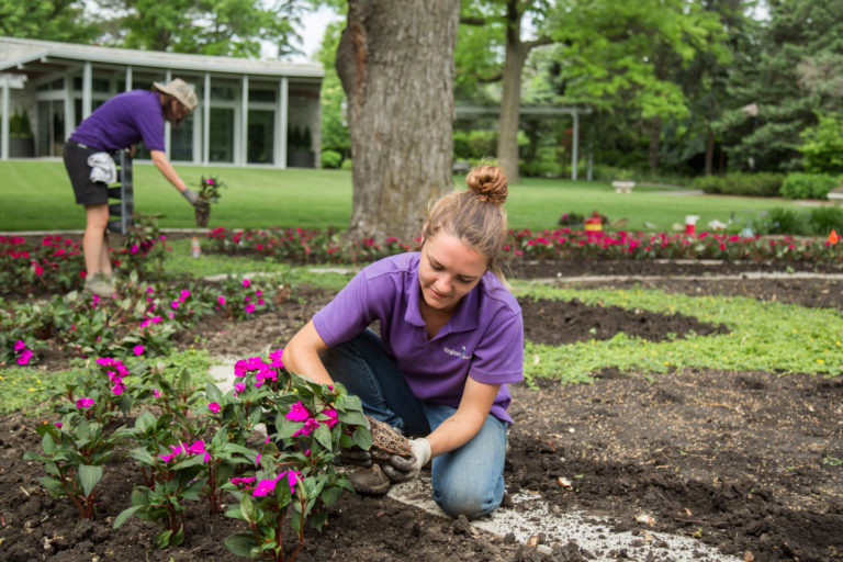 Planting Annuals in the Circle Garden – 2018 | Kinghorn Gardens