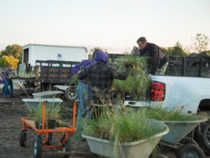 Career Opportunity: Nursery Yard Associate