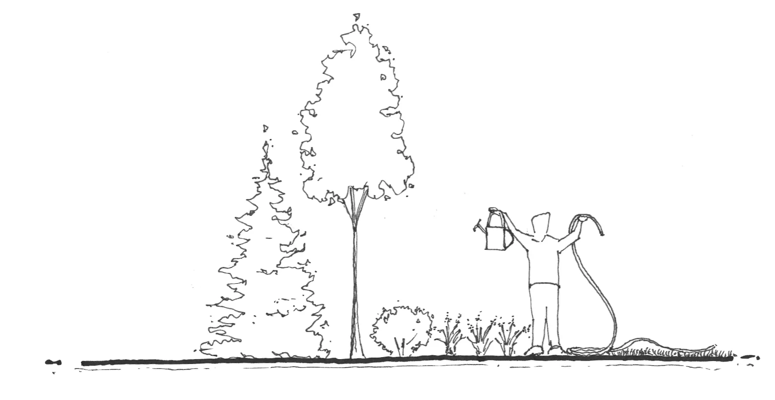 Thoughtful Watering: New Garden
